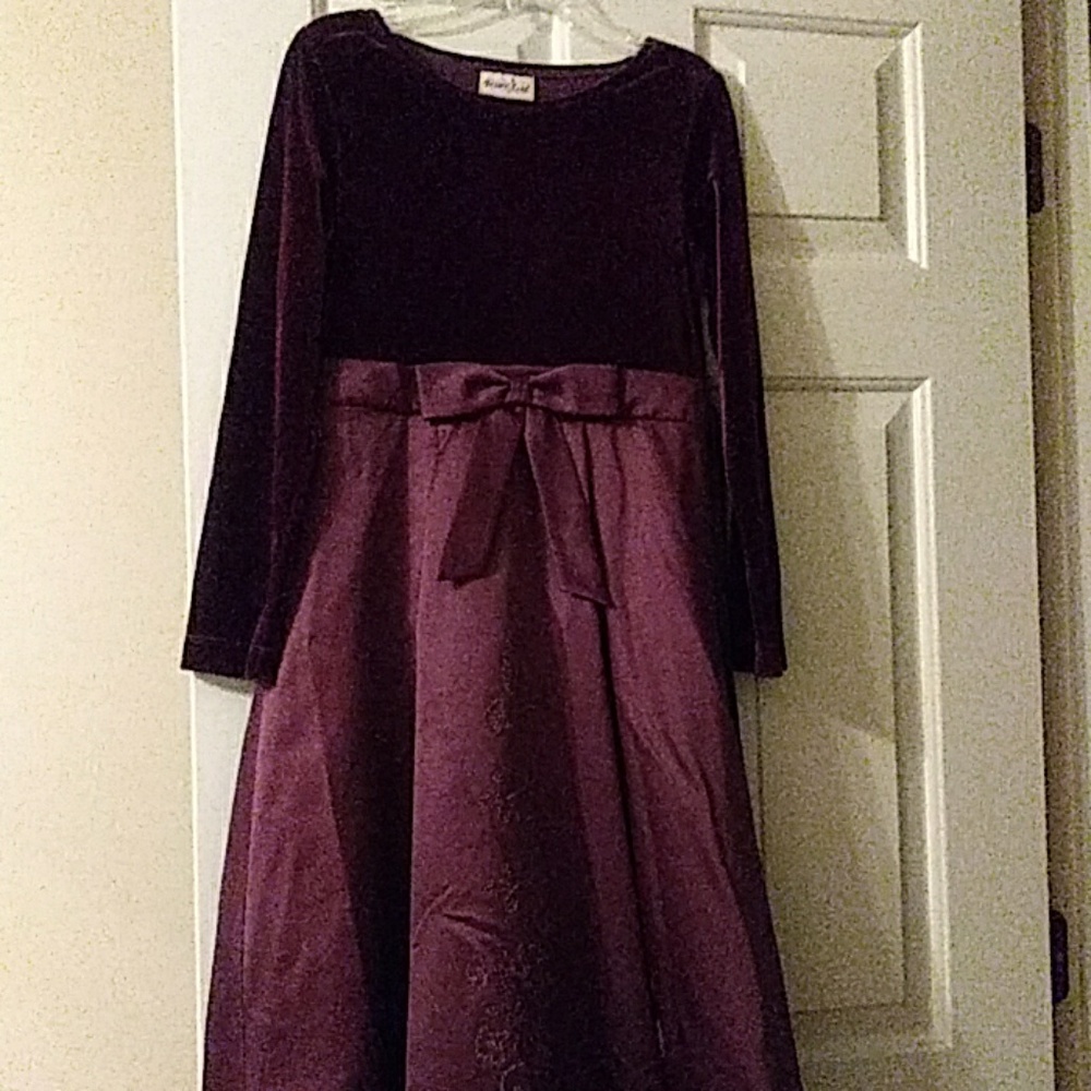 Rich in Color Velvet Silky Dress